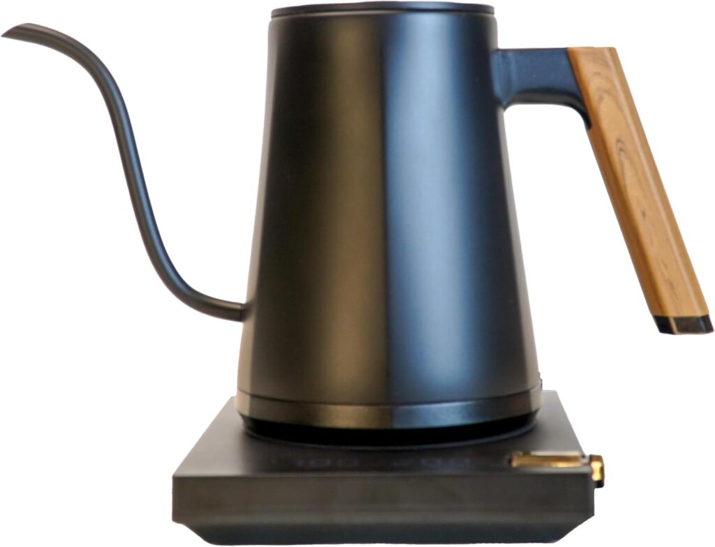 electric gooseneck kettle