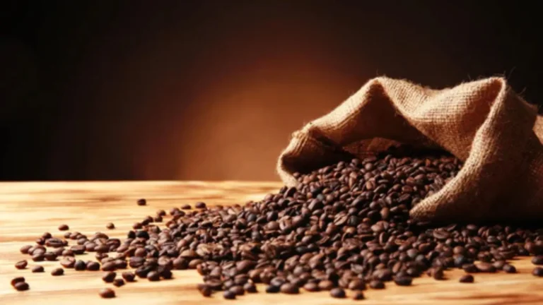 Do Coffee Beans Go Bad