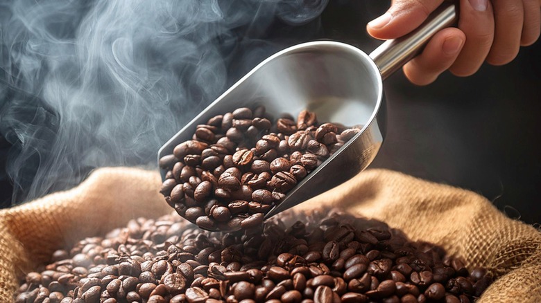 do coffee beans go bad