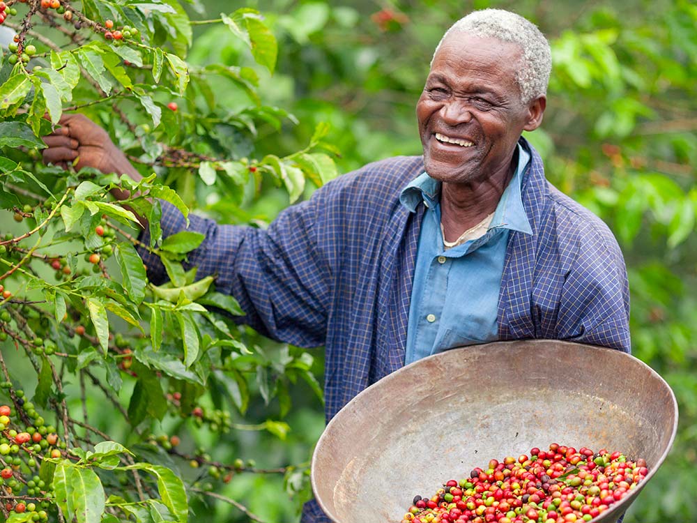 organic vs non organic coffee