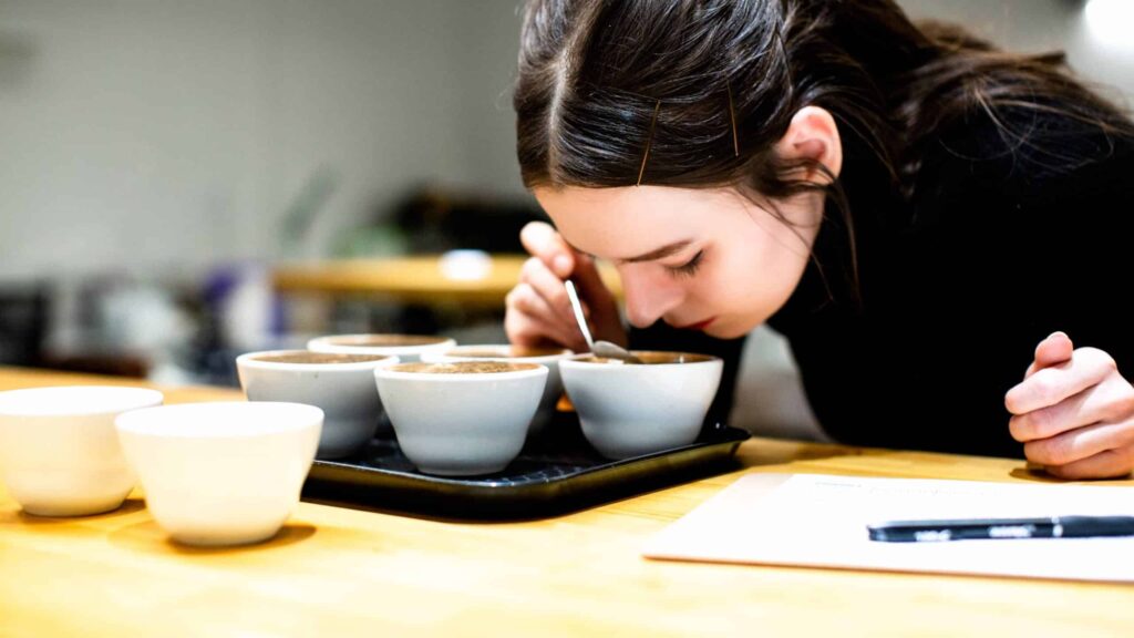 what is specialty coffee