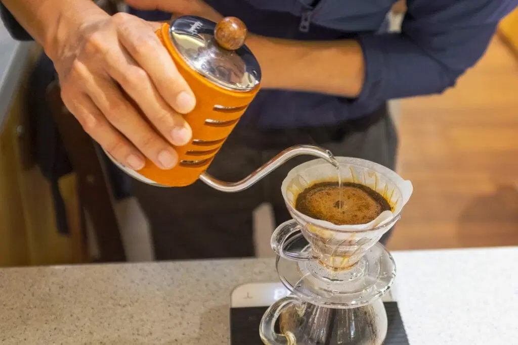 Hario V60 dripper filters