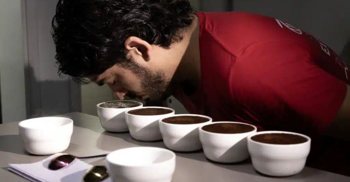 Specialty coffee scarcity