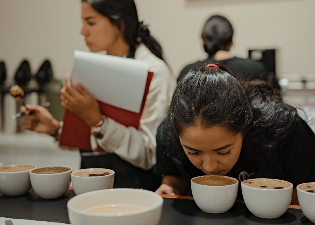 Specialty coffee scarcity 